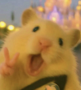 Screenshot 2025-09-24 144145