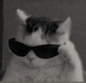 Screenshot 2025-09-24 144742