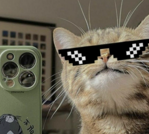 Screenshot 2025-09-24 145532